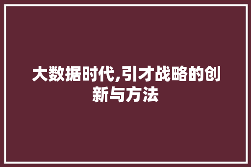 大数据时代,引才战略的创新与方法
