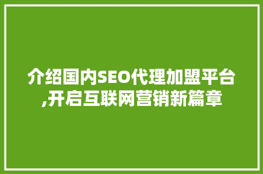 介绍国内SEO代理加盟平台,开启互联网营销新篇章