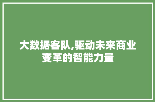 大数据客队,驱动未来商业变革的智能力量 市场营销范文