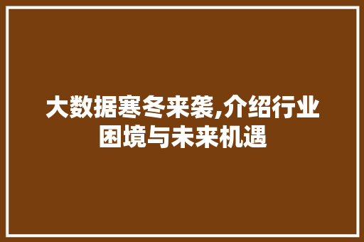 大数据寒冬来袭,介绍行业困境与未来机遇 网站建设