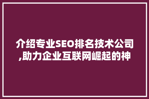 介绍专业SEO排名技术公司,助力企业互联网崛起的神秘力量