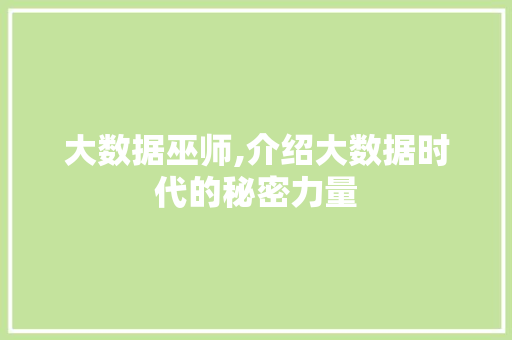 大数据巫师,介绍大数据时代的秘密力量