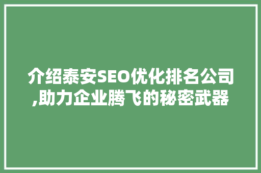 介绍泰安SEO优化排名公司,助力企业腾飞的秘密武器