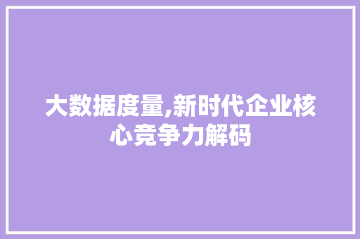 大数据度量,新时代企业核心竞争力解码