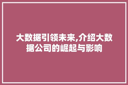 大数据引领未来,介绍大数据公司的崛起与影响 缓存Redis