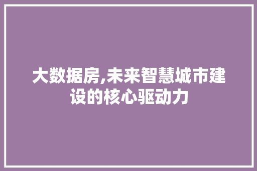 大数据房,未来智慧城市建设的核心驱动力 市场营销范文