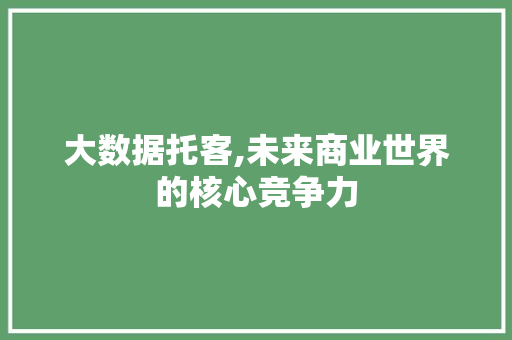 大数据托客,未来商业世界的核心竞争力 前端技术