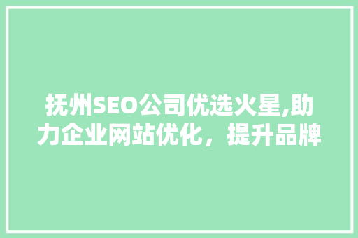 抚州SEO公司优选火星,助力企业网站优化，提升品牌影响力