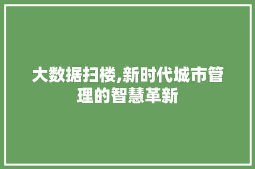 大数据扫楼,新时代城市管理的智慧革新 项目报告