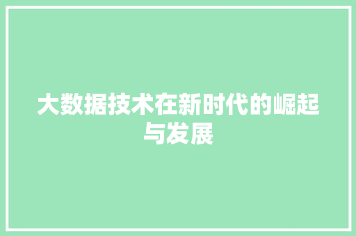 大数据技术在新时代的崛起与发展 缓存Redis