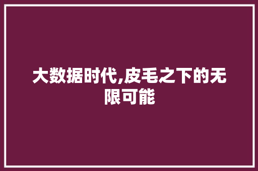 大数据时代,皮毛之下的无限可能