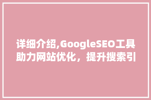 详细介绍,GoogleSEO工具助力网站优化，提升搜索引擎排名
