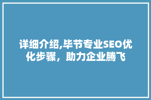 详细介绍,毕节专业SEO优化步骤，助力企业腾飞