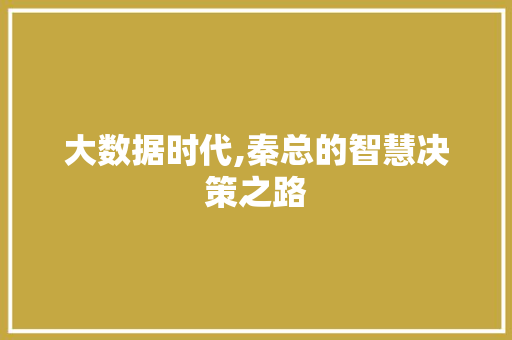 大数据时代,秦总的智慧决策之路 缓存Redis
