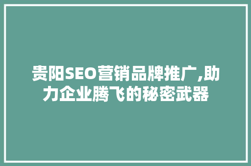 贵阳SEO营销品牌推广,助力企业腾飞的秘密武器