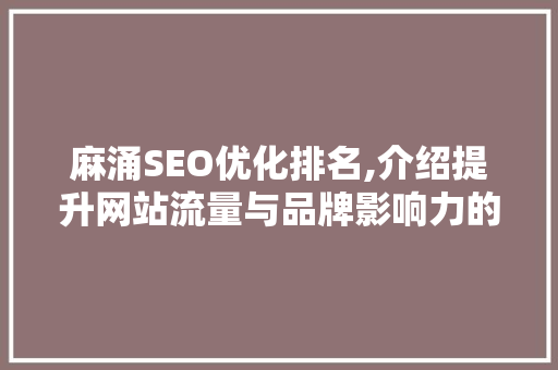 麻涌SEO优化排名,介绍提升网站流量与品牌影响力的方法