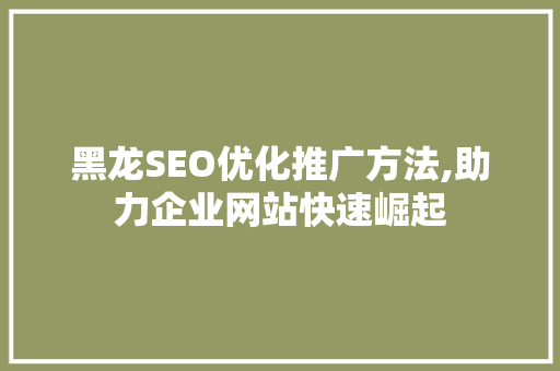 黑龙SEO优化推广方法,助力企业网站快速崛起