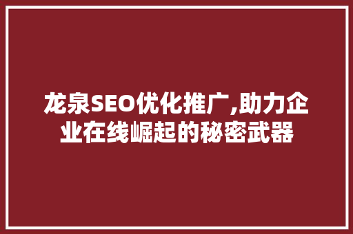 龙泉SEO优化推广,助力企业在线崛起的秘密武器