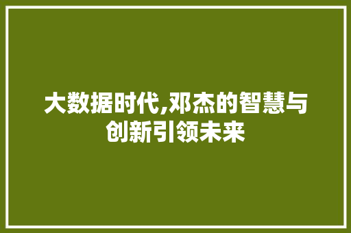 大数据时代,邓杰的智慧与创新引领未来 MySQL