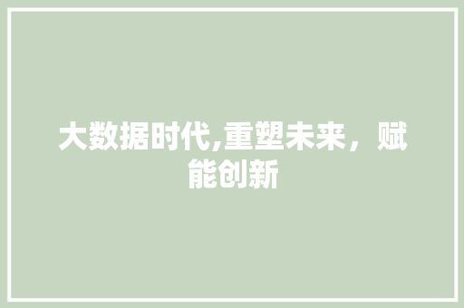 大数据时代,重塑未来，赋能创新 项目报告