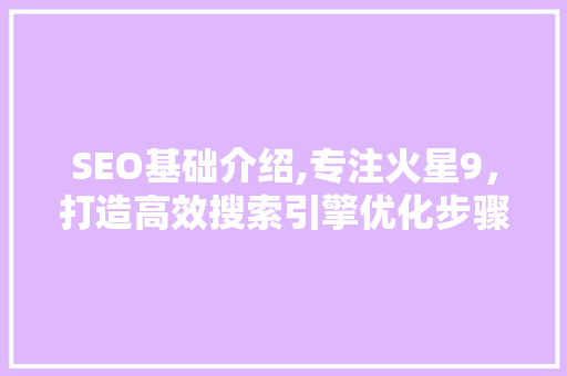 SEO基础介绍,专注火星9，打造高效搜索引擎优化步骤