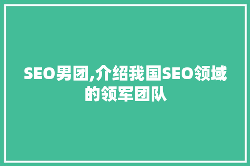 SEO男团,介绍我国SEO领域的领军团队