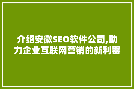 介绍安徽SEO软件公司,助力企业互联网营销的新利器