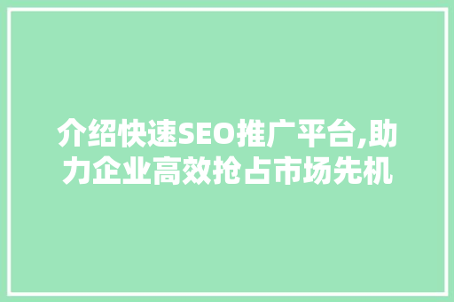 介绍快速SEO推广平台,助力企业高效抢占市场先机