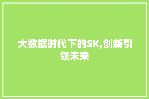 大数据时代下的SK,创新引领未来 项目报告