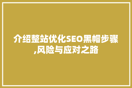 介绍整站优化SEO黑帽步骤,风险与应对之路