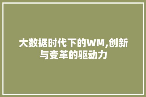 大数据时代下的WM,创新与变革的驱动力