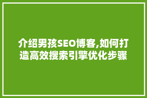 介绍男孩SEO博客,如何打造高效搜索引擎优化步骤