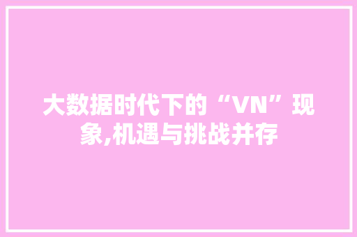 大数据时代下的“VN”现象,机遇与挑战并存 项目报告