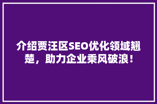 介绍贾汪区SEO优化领域翘楚，助力企业乘风破浪！