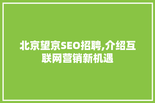 北京望京SEO招聘,介绍互联网营销新机遇
