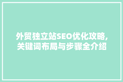 外贸独立站SEO优化攻略,关键词布局与步骤全介绍