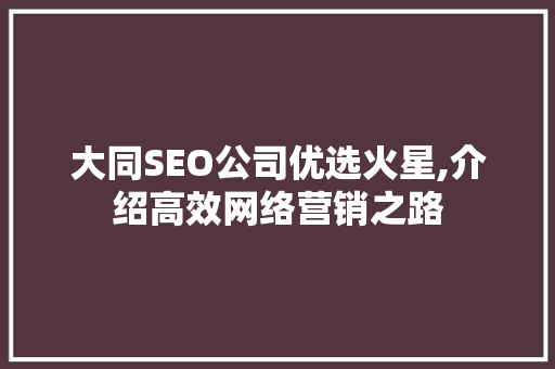 大同SEO公司优选火星,介绍高效网络营销之路