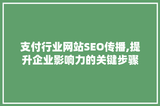 支付行业网站SEO传播,提升企业影响力的关键步骤