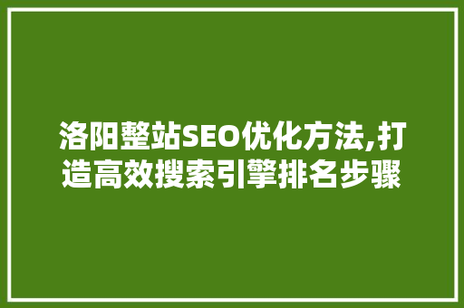 洛阳整站SEO优化方法,打造高效搜索引擎排名步骤