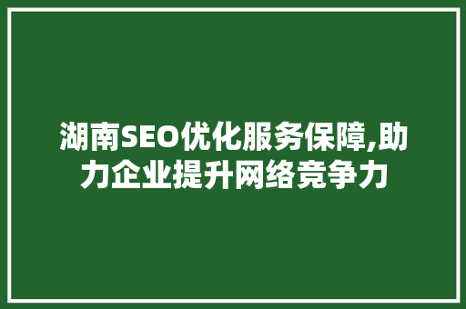 湖南SEO优化服务保障,助力企业提升网络竞争力