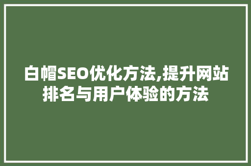 白帽SEO优化方法,提升网站排名与用户体验的方法