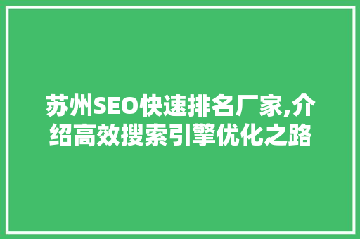 苏州SEO快速排名厂家,介绍高效搜索引擎优化之路