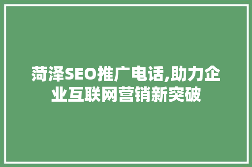 菏泽SEO推广电话,助力企业互联网营销新突破