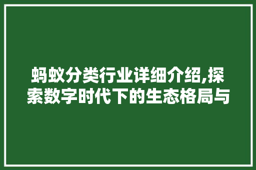蚂蚁分类行业详细介绍,探索数字时代下的生态格局与SEO步骤
