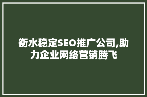 衡水稳定SEO推广公司,助力企业网络营销腾飞