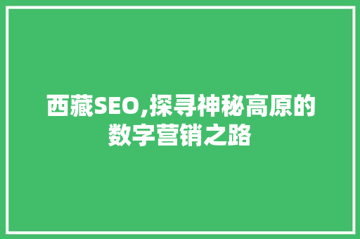西藏SEO,探寻神秘高原的数字营销之路