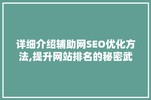 详细介绍辅助网SEO优化方法,提升网站排名的秘密武器