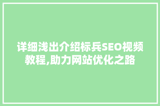详细浅出介绍标兵SEO视频教程,助力网站优化之路