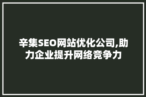 辛集SEO网站优化公司,助力企业提升网络竞争力