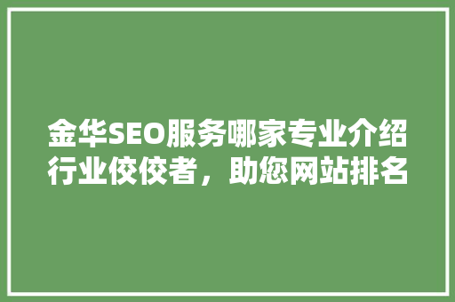 金华SEO服务哪家专业介绍行业佼佼者，助您网站排名起飞！